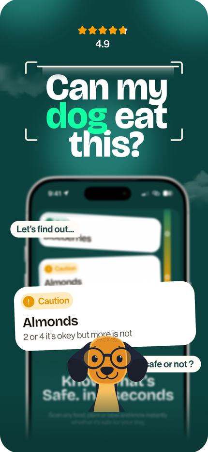 The Puppii home screen
