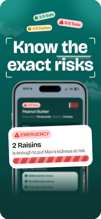 A scan result showing the exact risk and a safe amount